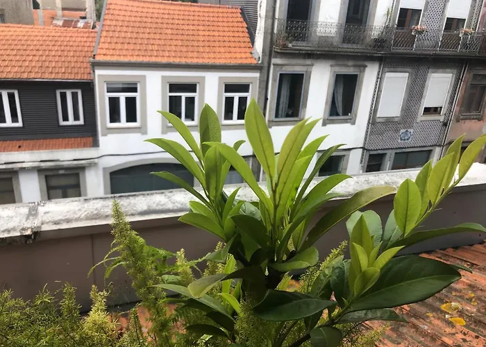 Apartman Requinte Porto