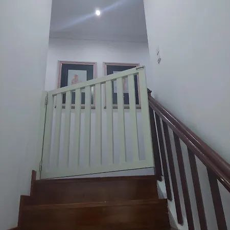 Requinte * Πόρτο