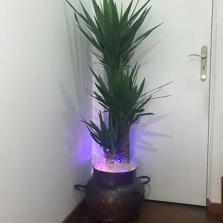 Διαμέρισμα Requinte *