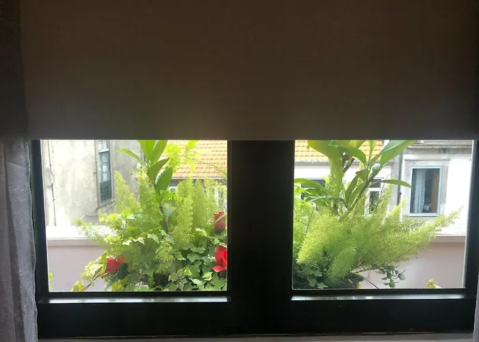 Requinte * بورتو